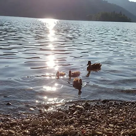 Inselblick Schliersee